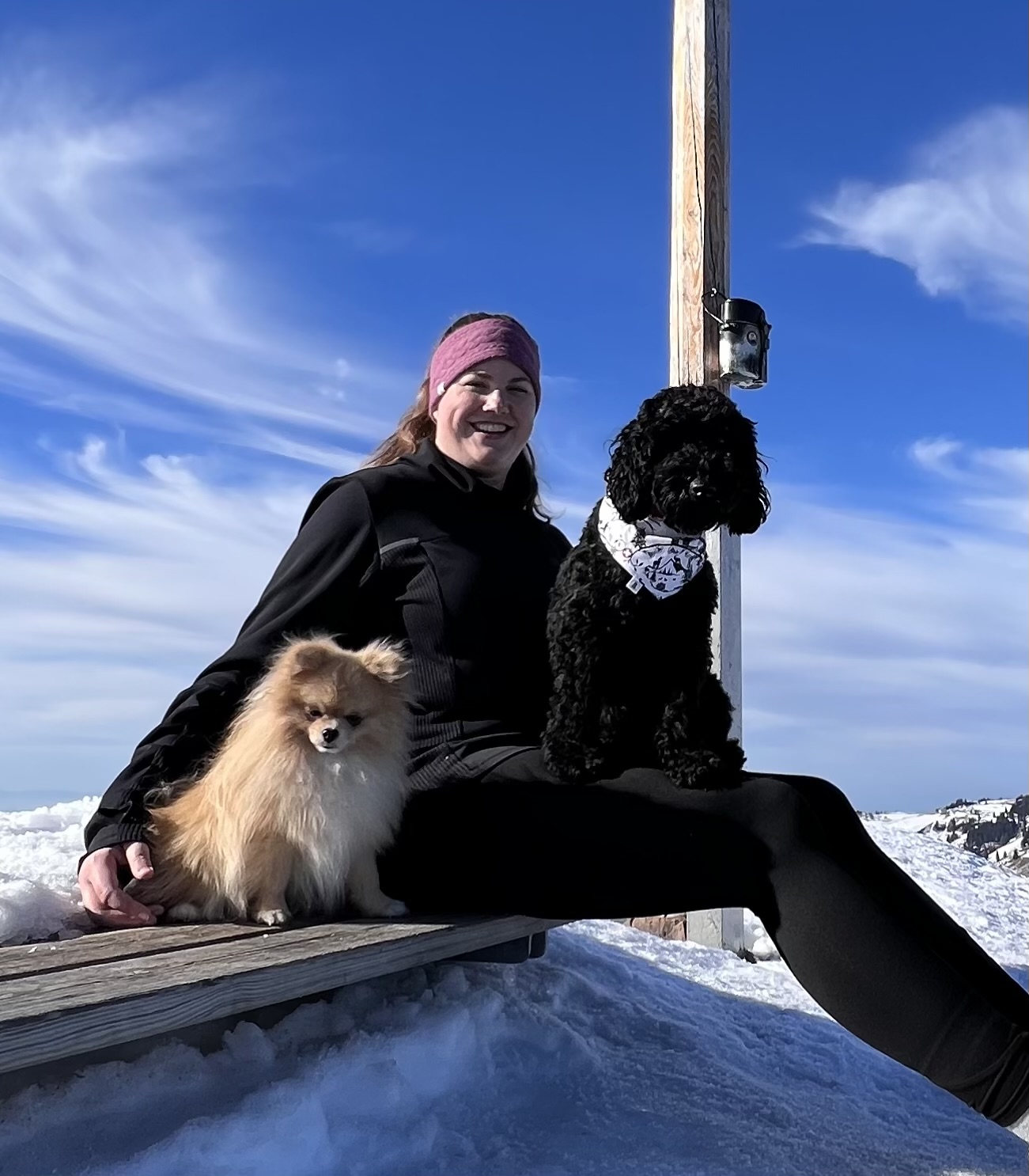 Berg GipfelstÃ¼rmer Wandern Stirnband und Hundebandana