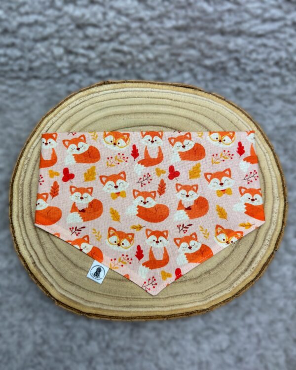 Bandana Fuchs – Bild 2