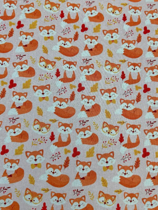 Bandana Fuchs