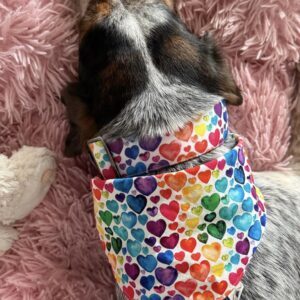 Herz Set Rhea‘s Paw x Balu‘s Doggets